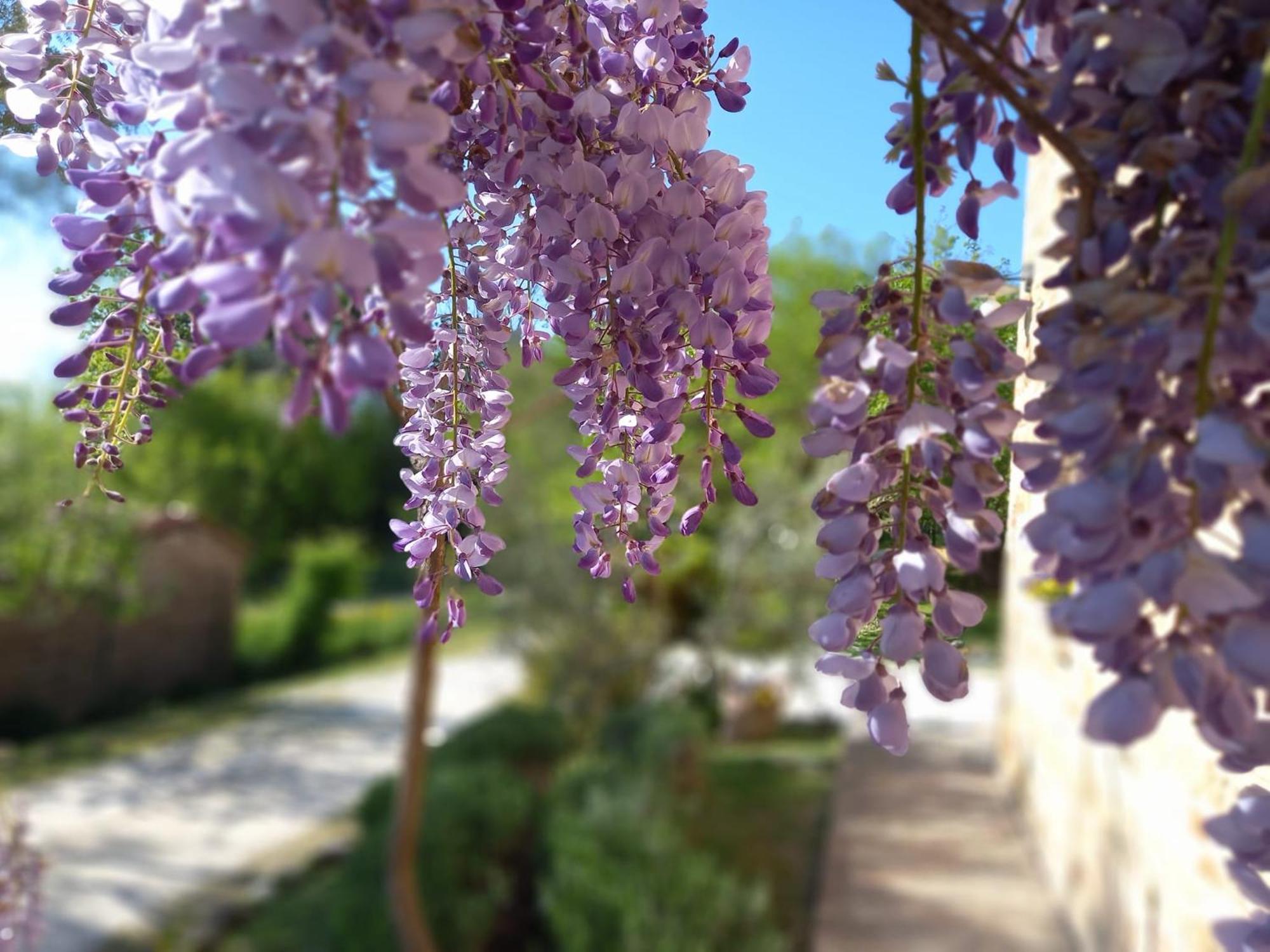 Il Casale Di Aurora Country House Colmurano Kültér fotó
