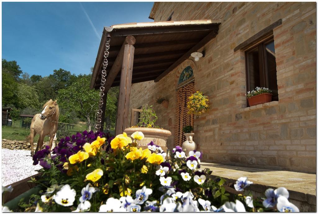 Il Casale Di Aurora Country House Colmurano Kültér fotó