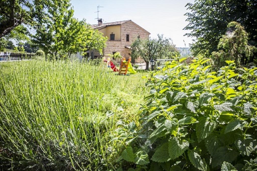 Il Casale Di Aurora Country House Colmurano Kültér fotó